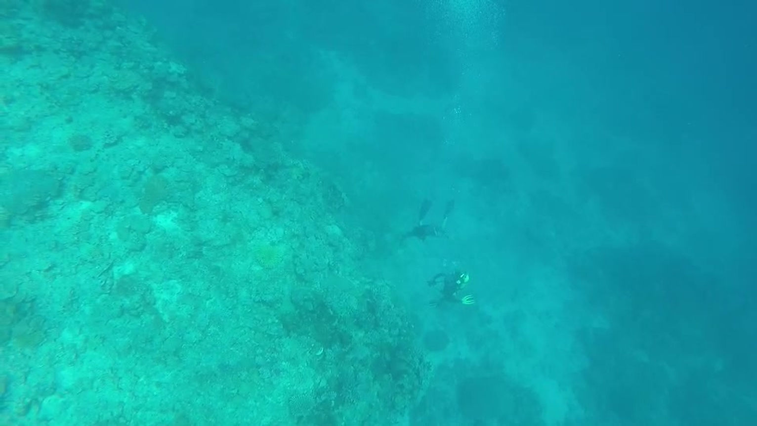 Free Diving in Fiji